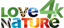 Love Nature
