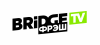 Запущен новый телеканал Bridge TV Фрэш